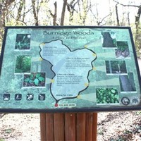 Burnidge Woods Park