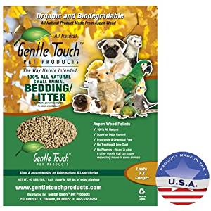 Amazon.com : Gentle Touch Products 010LL01-40 Small Animal ...