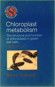 Amazon.com: Chloroplast Metabolism: The Structure and ...