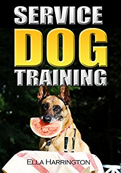 Service Dog Training: Step By Step Instructions To Train ...