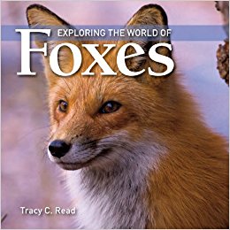 Exploring the World of Foxes: Tracy Read: 9781554076161 ...