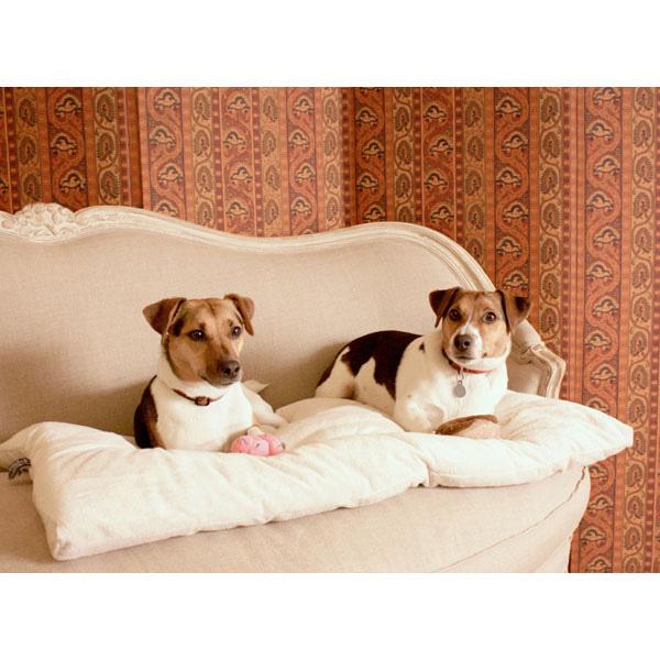 Amazon.com : Pet Dreams Plush Sleep-eez Dog Bed Reversible ...