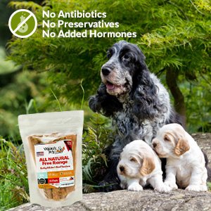 Amazon.com : Bully Sticks and Beef Tendons - Healthy Free ...