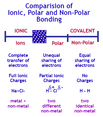 Chemical Polarity - Bonds, Molecules & Examples ...