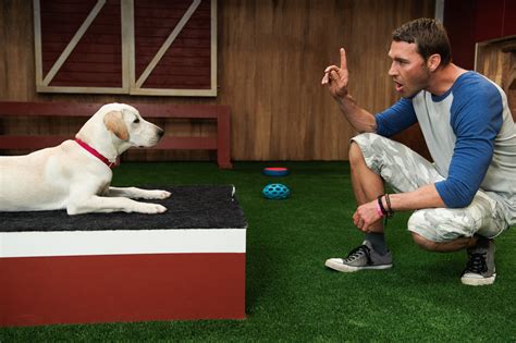 Dog Training I Brandon McMillan | Brandon McMillan's ...