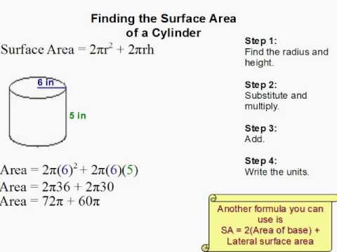 How to Find the Surface Area of a Cylinder - YouTube