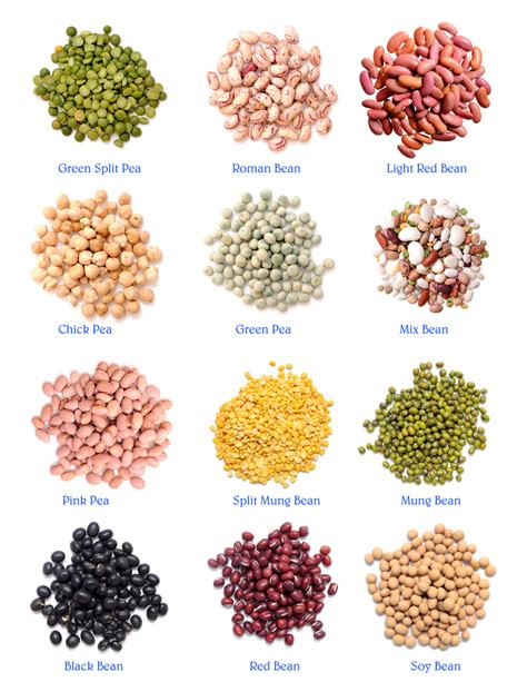 Types Of Beans List Pictures to Pin on Pinterest - PinsDaddy