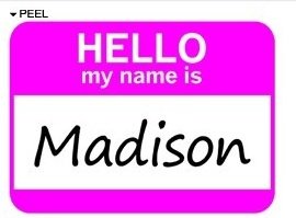 Amazon.com: Hello My Name Is Madison - Window Bumper ...