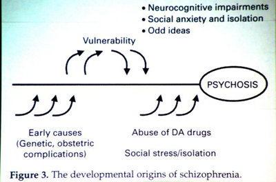 Schizophrenia.com - Schizophrenia Causes and Prevention