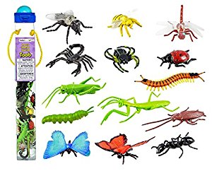 Amazon.com: Safari Ltd Insects TOOB With 14 Toy Figurines ...