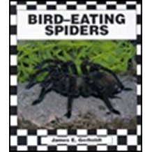 Amazon.com: bird eating spider