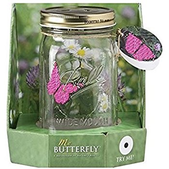 Amazon.com: My Butterfly Collection - Animated Butterfly ...