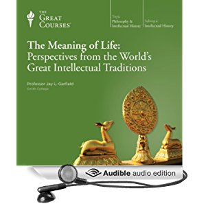 Amazon.com: The Meaning of Life: Perspectives from the ...