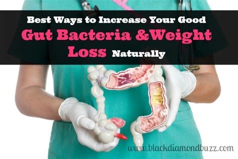 8 Best Ways to Increase Your Good Gut Bacteria and Weight ...