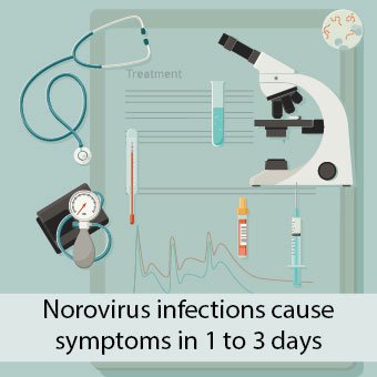 Norovirus Infection Symptoms, Treatments & Incubation Period