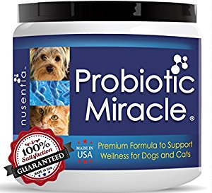 Amazon.com : Probiotic Miracle Dog Probiotics for Dogs (Up ...
