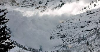Nature's Oddities: Snow Rolls