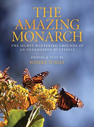 The Amazing Monarch: The Secret Wintering Grounds of an ...