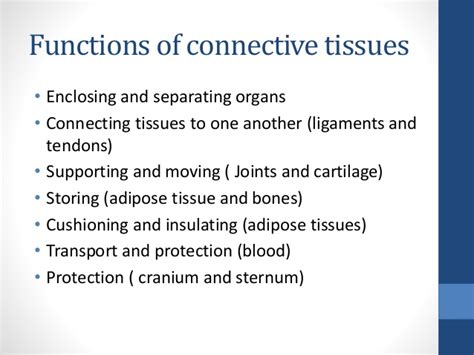 Connective tissues