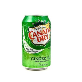 Can I Give My Dog Ginger Ale? – Can I Give My Dog?