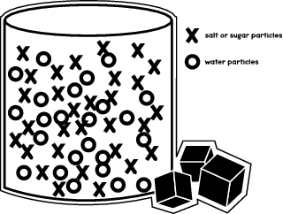 Salt or Sugar: Which Dissolves Faster in Different Liquids ...