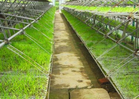 Irrgaiton Tape|importance of irrigation-Jianchuan ...