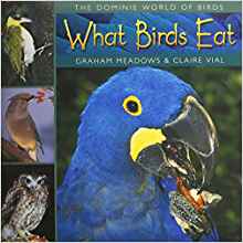 Amazon.com: WHAT BIRDS EAT (Dominie World of Birds ...