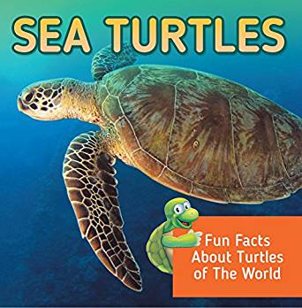 Sea Turtles: Fun Facts About Turtles of The World: Marine ...