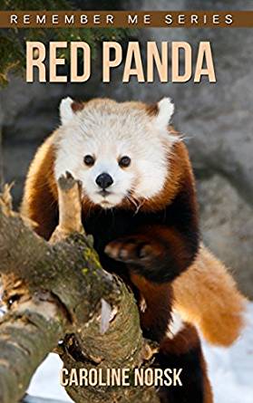 Red Panda: Amazing Photos & Fun Facts Book About Red Panda ...