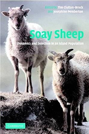 Soay Sheep: Dynamics and Selection in an Island Population ...