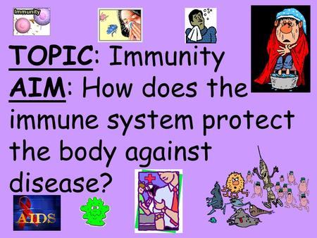 The IMMUNE System Unit 3 Transportation Systems. Functions ...