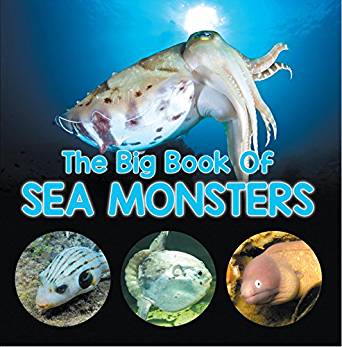The Big Book Of Sea Monsters (Scary Looking Sea Animals ...