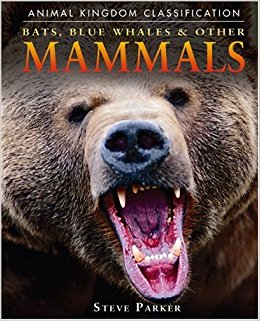 Bats, Blue Whales, and Other Mammals (Animal Kingdom ...