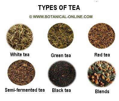Green tea and black tea differences