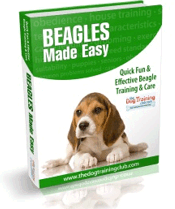 Beagles Made Easy