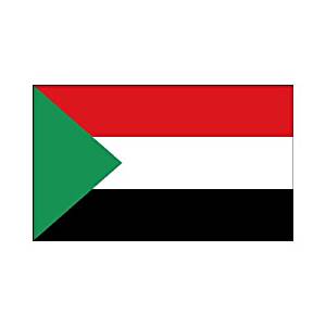 Amazon.com : Sudan 3ft x 5ft Polyester : Flags ...