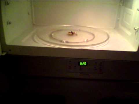 What Happens When You Microwave A Grape? LOL - YouTube