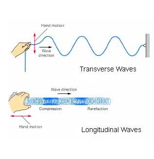 Study Online - Transverse Waves and Longitudinal Waves