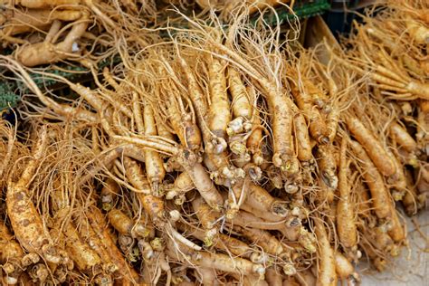 Korean Panax Ginseng: Benefits, Uses & Side Effects