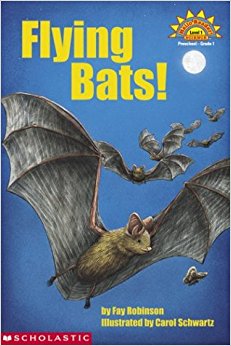 Amazon.com: Flying Bats (Hello Reader: Science, Level 1 ...