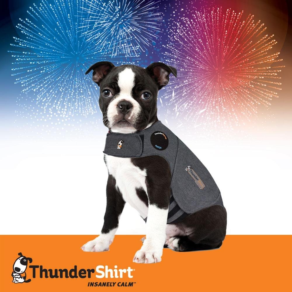 Amazon.com : ThunderShirt Dog Anxiety Jacket, Heather Gray ...