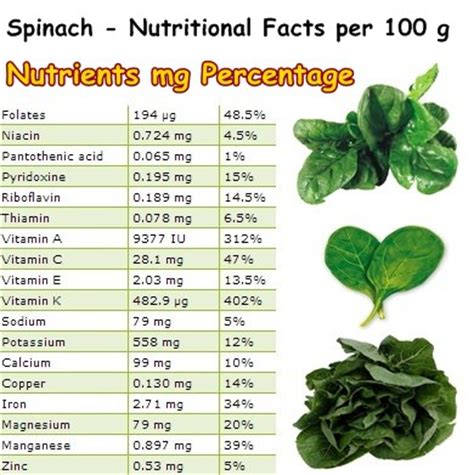 Image Gallery spinach nutrition