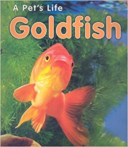 Goldfish (A Pet's Life): Anita Ganeri: 9781432933982 ...