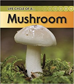 Amazon.com: Mushroom (Life Cycle of a ...