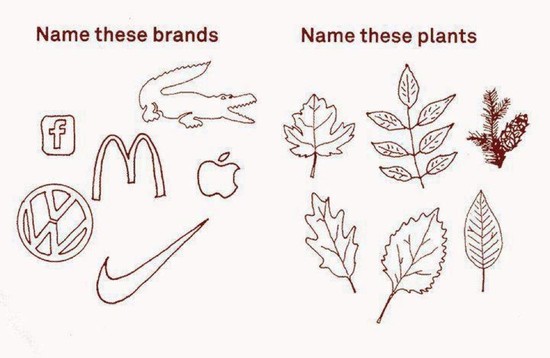 Name These Brands... Now Name These Plants : im14andthisisdeep