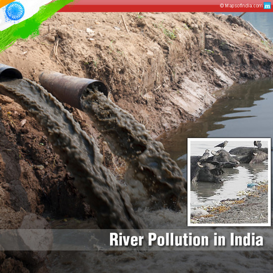 River Pollution in India – Who Will Bell the Cat? | My India