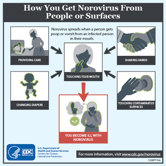 What To Do If You Have The Norovirus While Breastfeeding ...