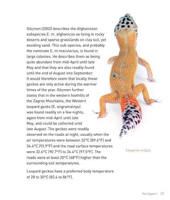 Leopard Gecko Food Chain Diagram | Repair Wiring Scheme