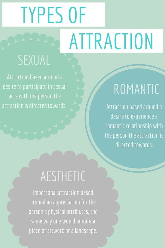 Types of Attraction | lgbtqa things | Pinterest