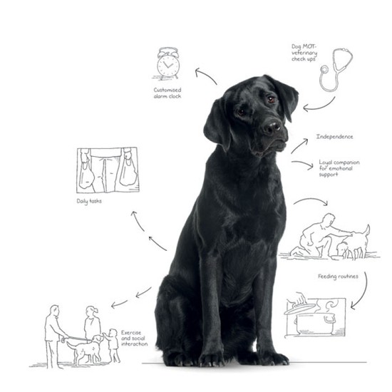 Dementia Assistance Dogs | The Bark
